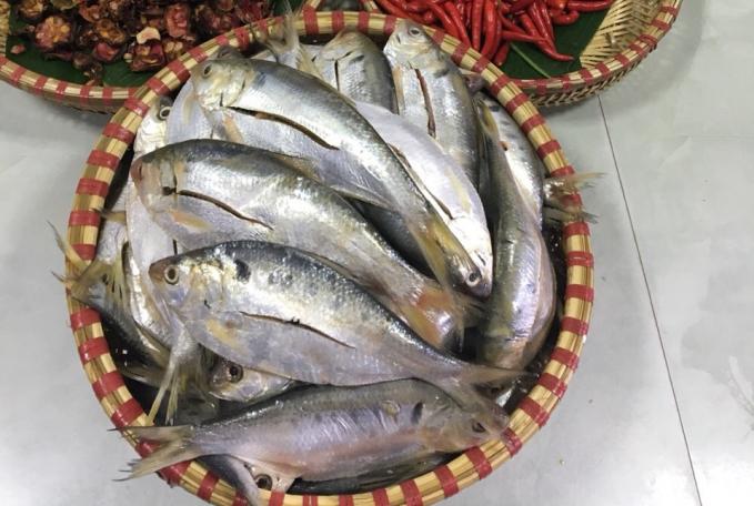 cửa hàng bán cá mòi tại Sài Gòn