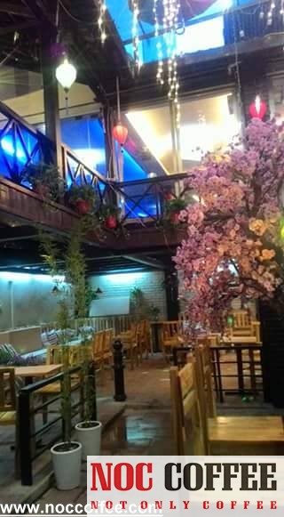 13600270 1101141113286905 8429130995613524977 n