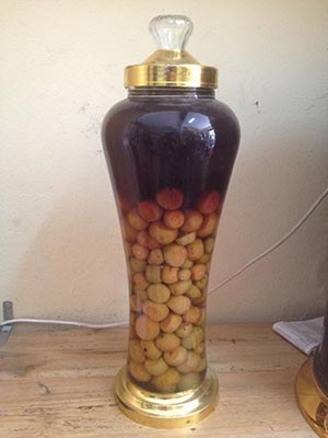 Rượu táo mèo là rượu gì?