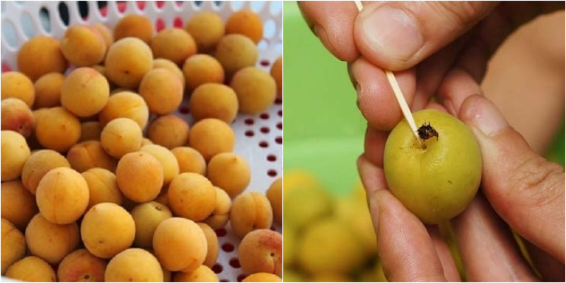 Nguyên liệu làm mơ ngâm rượu