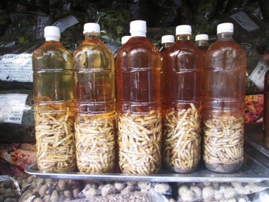 Sử dụng rượu sâu chít như thế nào?