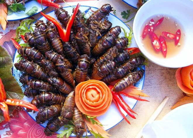 Đặc sản ve non chiên giòn