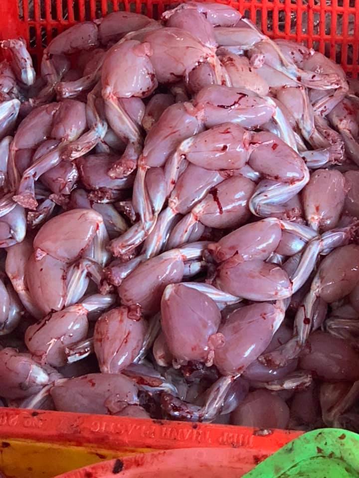 Thịt đùi ếch giàu protein