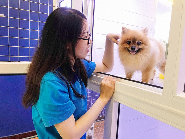 CHẾ ĐỘ CHĂM SÓC VÀ HOẠT ĐỘNG