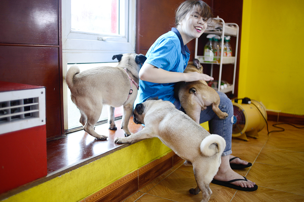 DỊCH VỤ TRÔNG GIỮ CHÓ MÈO HÀNG ĐẦU