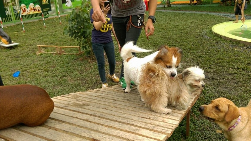 ĐỘI NGŨ NHÂN VIÊN GIÀU KINH NGHIỆM