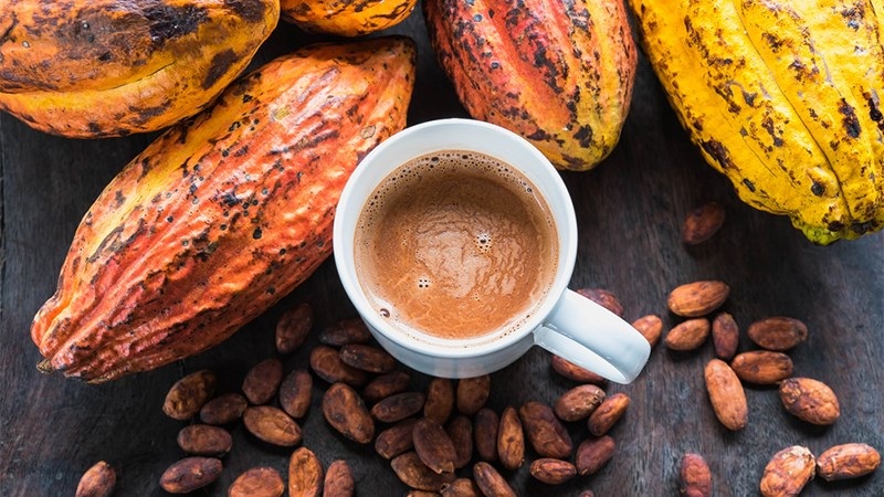Hạt Cacao rang 4