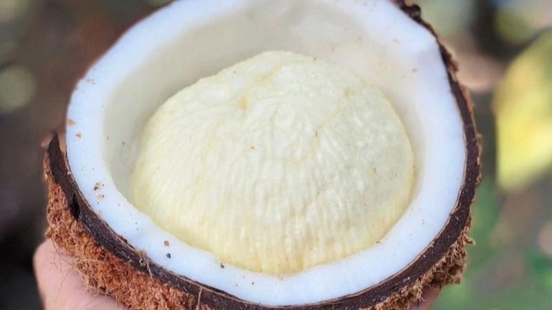 Mộng dừa tươi 5