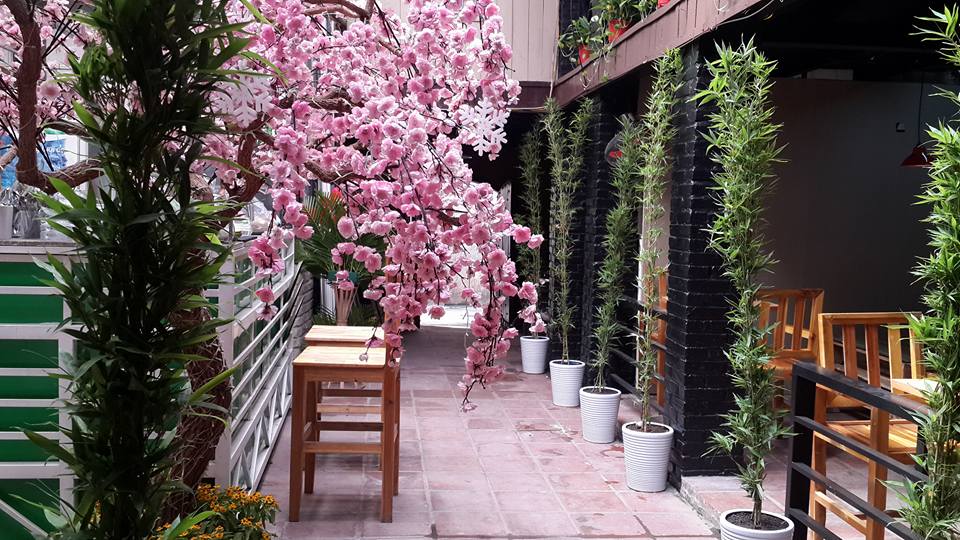 Quán cafe cho thuê địa điểm offline rẻ nhất3