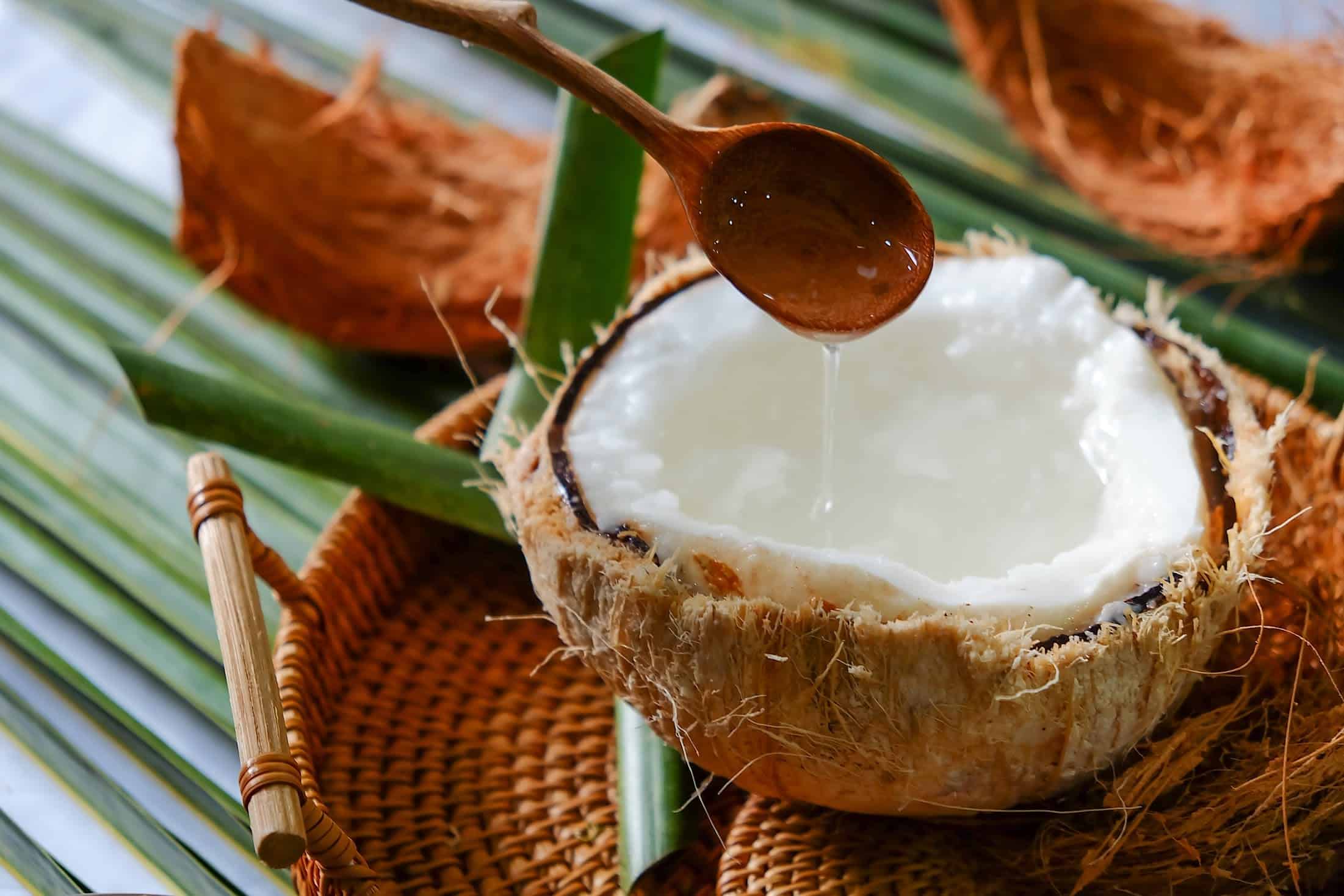 Đặc điểm nổi bật của dừa sáp Bến Tre