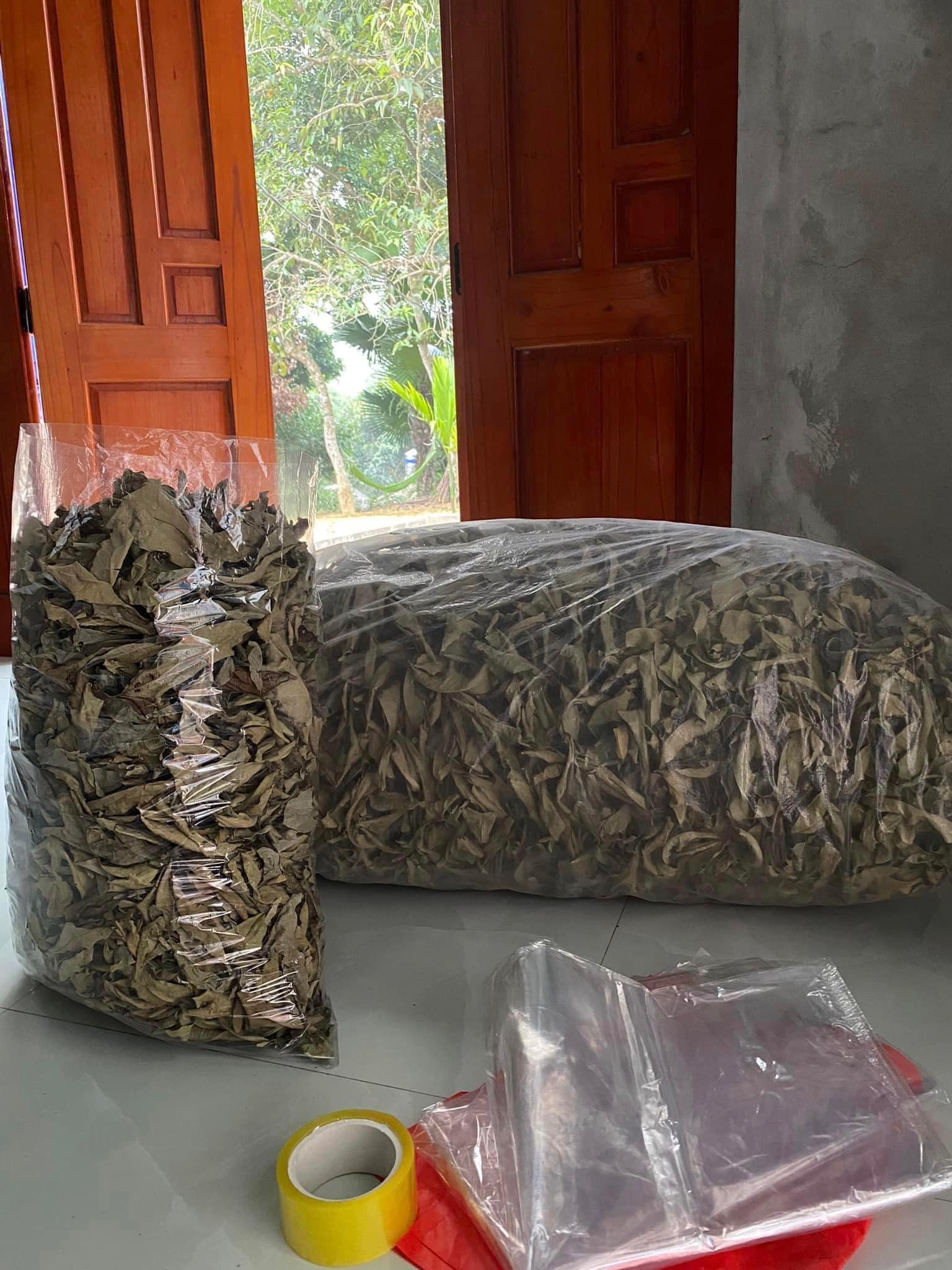 Lưu ý khi dùng lá vối