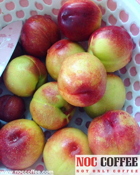 nguyên liệu làm món trà đào đặc biệt