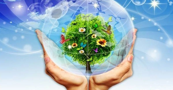 Bảo vệ môi trường sống
