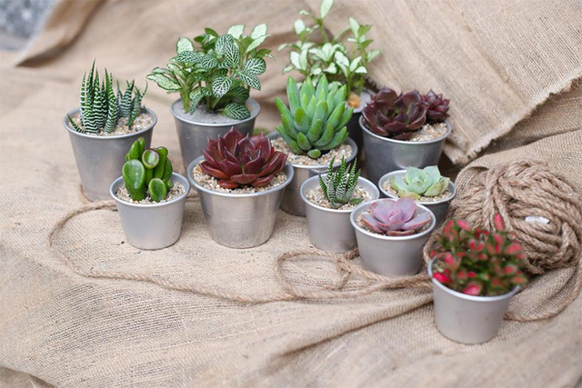 img20150807111229431