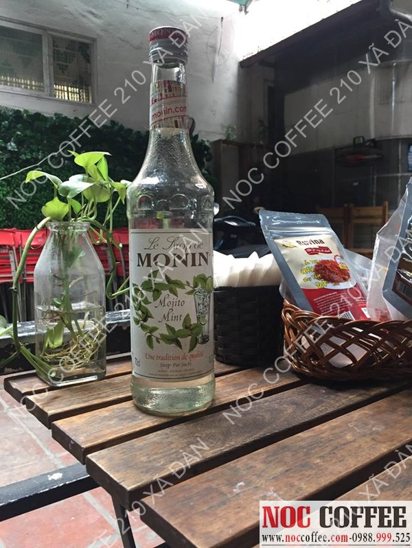 monin mint
